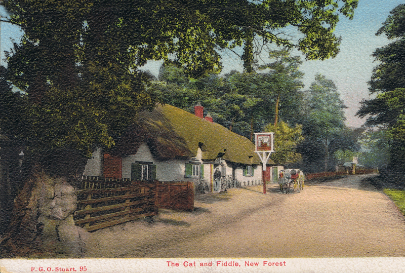 The Cat and Fiddle, New Forest