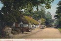95  -  The Cat and Fiddle, New Forest
