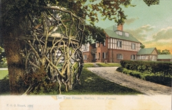 1096  -  The Tree House, Burley, New Forest