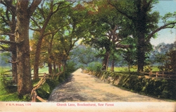 1176  -  Church Lane, Brockenhurst, New Forest