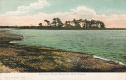 1213  -  Hatchett Pond, Beaulieu, New Forest