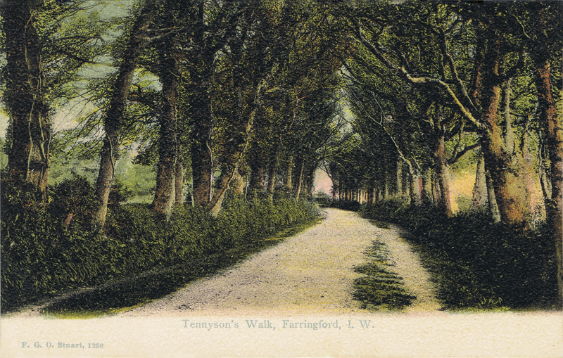 1258  -  Tennyson's Walk, Farringford, I. W.