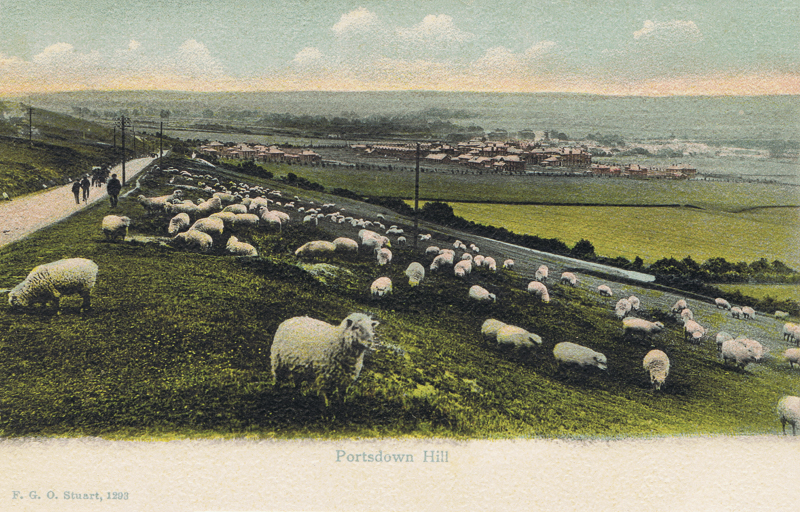 1293  -  Portsdown Hill