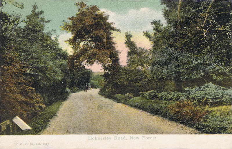 1311  -  Holmesley Road, New Forest