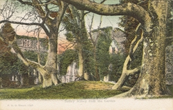 1343  -  Netley Abbey From The Garden