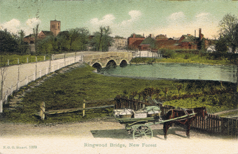 1393  -  Ringwood Bridge, New Forest