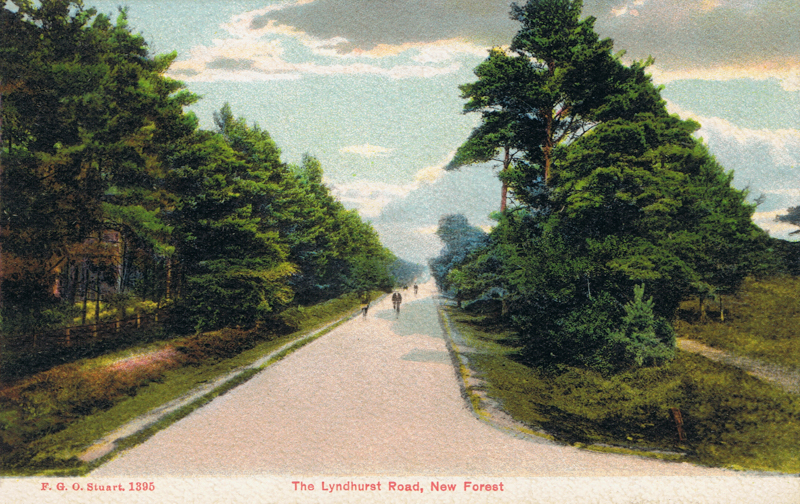 1395  -  The Lyndhurst Road, New Forest
