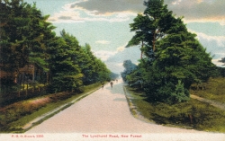 1395  -  The Lyndhurst Road, New Forest