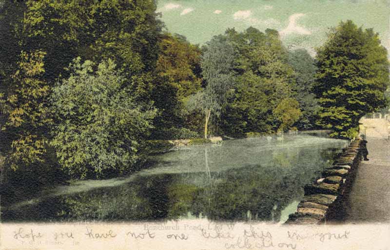 168  -  Bonchurch Pond, I. of W.