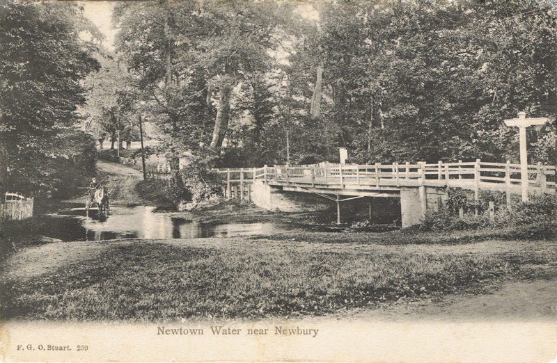 259  -  Newtown Water near Newbury