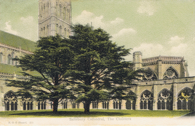277  -  Salisbury Cathedral, The Cloisters