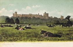 473  -  Windsor Castle