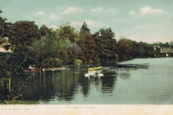 532  -  Old Shirley Pond