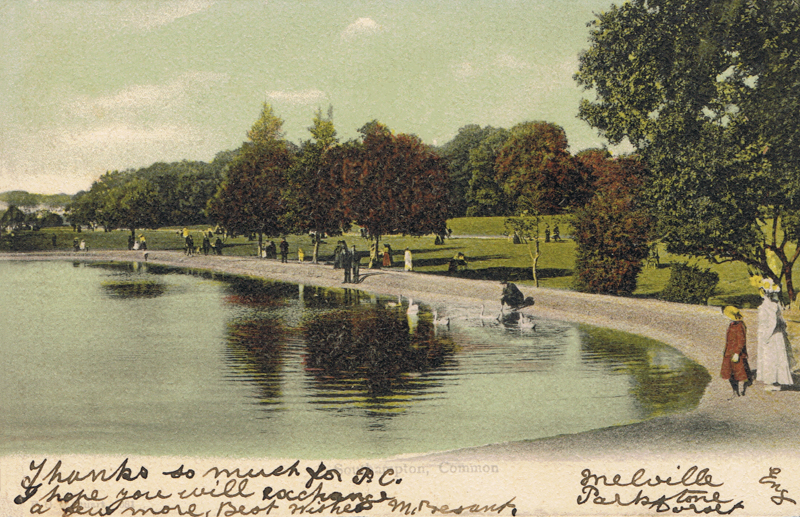 681  -  Southampton Common