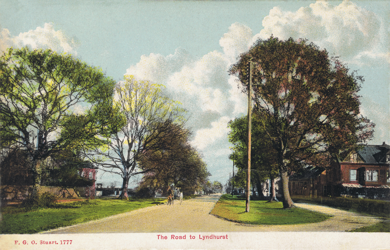The Road to Lyndhurst
