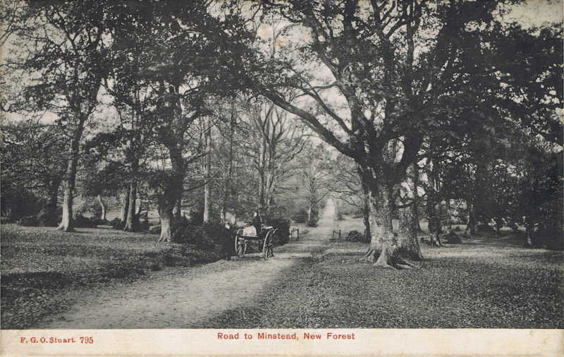 Road to Minstead, New Forest