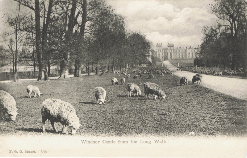 Windsor Castle from the Long Walk