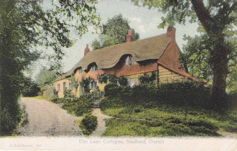 Elm Lane Cottages, Studland, Dorset