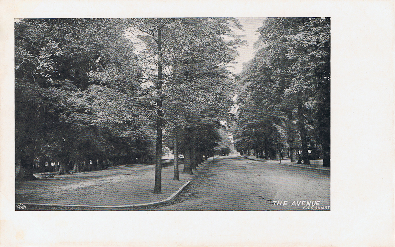 1092  -  The Avenue