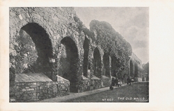 607  -  The OId Walls