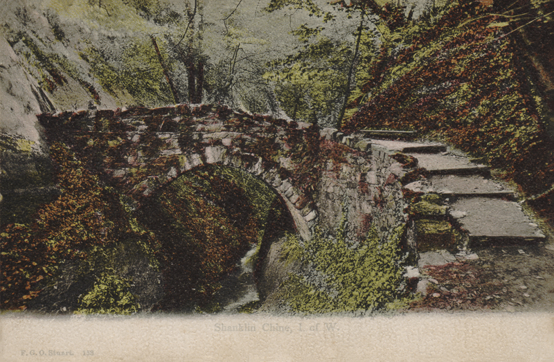 153  -  Shanklin Chine, I. of W.