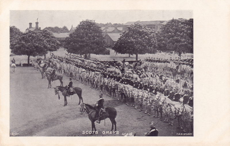 28  -  Scots Greys