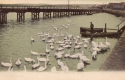 1044  -  The Swans, Weymouth