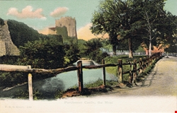 1097  -  Portchester Castle, The Moat
