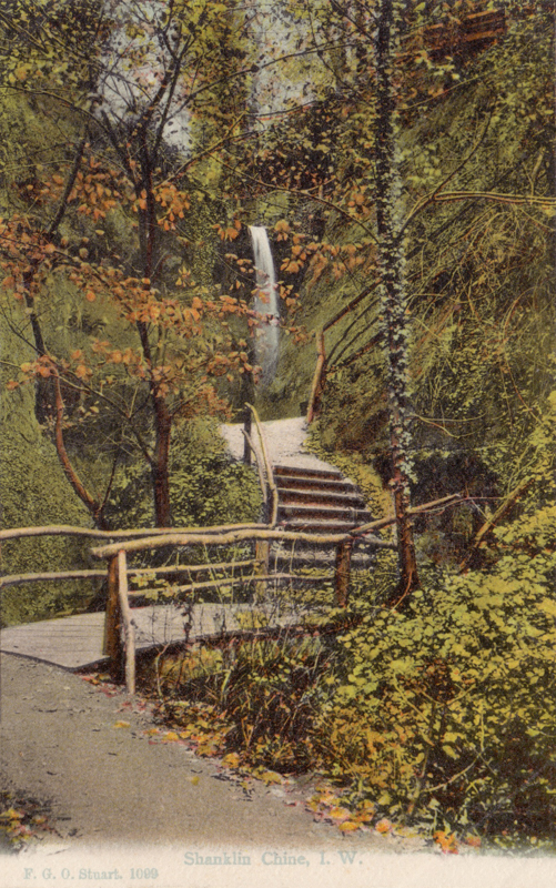 1099  -  Shanklin Chine, I. W.