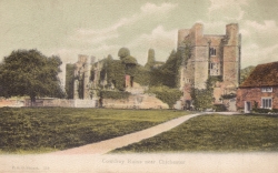 119  -  Cowdray Ruins Near Chichester