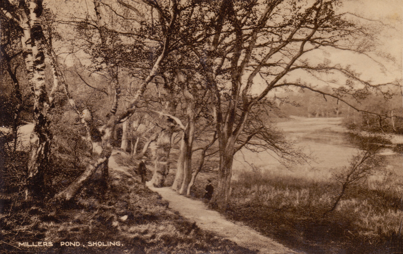 125  -  Miller's Pond, Sholing