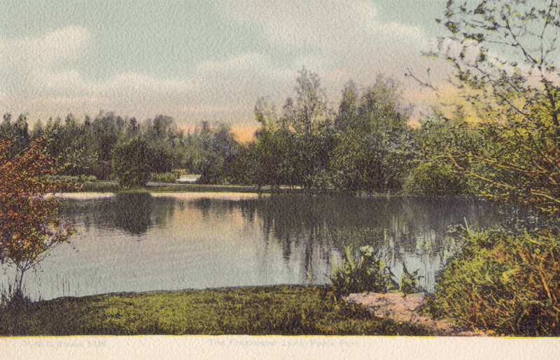 The Freshwater Lake, Poole Park