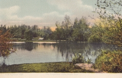1636  -  The Freshwater Lake, Poole Park