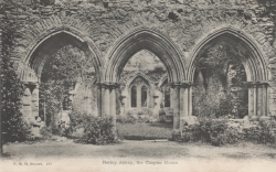 185  -  Netley Abbey, The Chapter House
