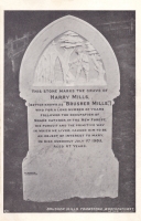349  -  Brusher Mills Tombstone, Brockenhurst