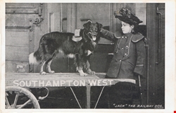   "Jack" The Railway Dog