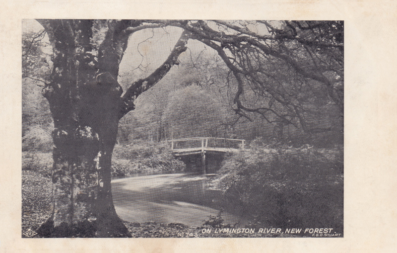   On Lymington River, New Forest