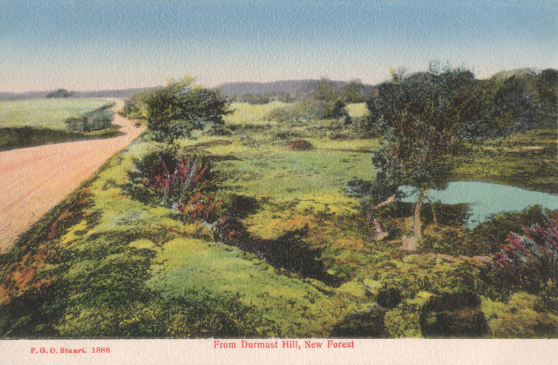 From Durmast Hill, New Forest